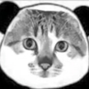 结束的不是故事