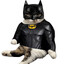 Batcat