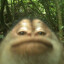 Macaco
