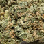 WeeD