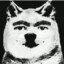 mr.boomer