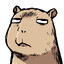 capybarasbody