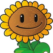 旋转飞天向日葵