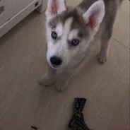 舒杭服服被盗了