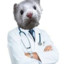Dr. Mink