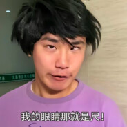 我鹰眼的眼睛就是尺