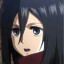 Mikasa