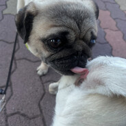 BIGBOY