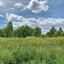 springwells