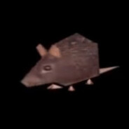 SpinningRat360