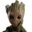 IM GROOT