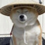 Perro de Chifa