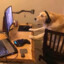 dog playing videojames