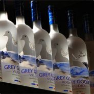 GrEyGoOse
