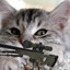 Sniperok