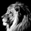 The Lion