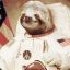 slothstronaut