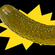Pickles - steam id 76561197964349607