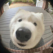 再玩十分钟就睡觉