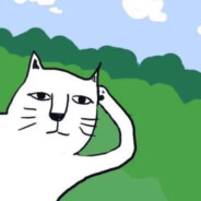 Ciallo～(∠・ω< )⌒☆