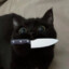 BivviBee