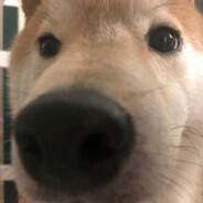 我的炮友申利岭华