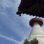 窝里斗-----耗子尾汁