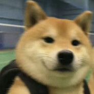 汪汪队之重生我是go学长