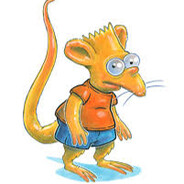 Ratboy