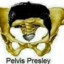 Pelvis Presly