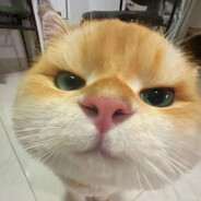 先别急一会有你急的