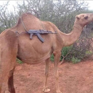 трижды разведенк