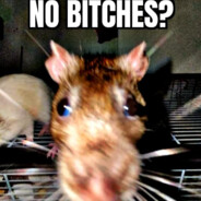 main money portfolio
