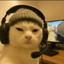 vSkking