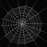 TheWebz