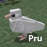 󠁳 ⁧⁧󠁳 Pru