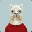 Je`m Apele Alpaca