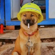 没被盗号就算成功