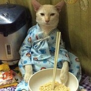 云想衣裳花想容