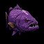 Barramundi