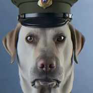 上将麦克阿拉多