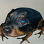drog
