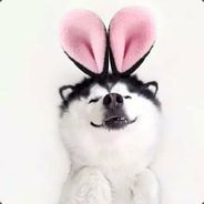 丿蒲公英的约定