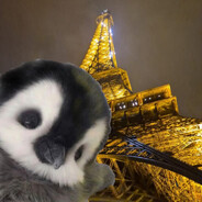 Pengu