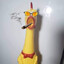 COCÓ CONHA