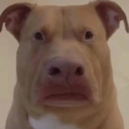 魔仙堡第一打手