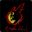 Night Raid