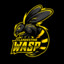 ClandestineWasp