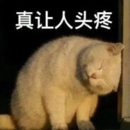 你是来唱，跳的吗？