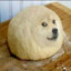 DogeDough
